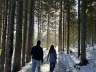 On my hike in the Šumava National Park, we walked through the snowy forest to get to our destination