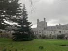 UCC Quad on Imbolc