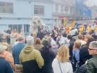 Bird Parade in Dingle