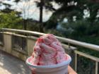 Strawberry ice cream at Palgukjeong Pavilion