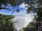 A vivid rainbow rises from the mist of Victoria Falls (viewed from the Zambian side).