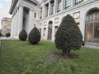 Prado Museum in Madrid!