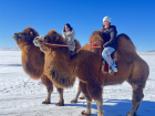 Winter camel riding in the mini Gobi Desert