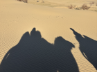 Even the mini Gobi Desert was cold in October, with sharp winds sweeping across the open landscape and temperatures dropping quickly after sunset