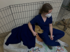 One of the patients at the first vet clinic I volunteered at
