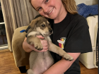 Another one of my foster puppies named Macadamia