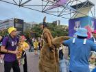 Silly kangaroo costume at the Women's Asian Cup soccer game, Australia versus Korea