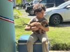 Un niño y su perrito callejero