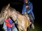 I am navigating a mountain at night on horseback