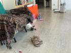 Staying cool in this heat by just flopping on the floor
