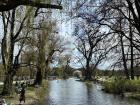 The English Garden in Munich