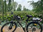 Bicycle ride to a lotus field 