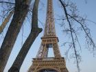 View of the Eiffel Tower