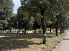 A park in Siena outside of the city walls 
