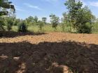This is where my jaja grows maize (corn)