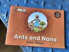 We have been reading this book in P3
