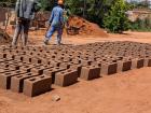 Rows and rows of bricks are drying to build a room for another family in Pogiso's yard