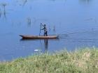 Boats are found on the sides of the Zambezi River. The canoes are called mokoro, and are carved from tree trunks