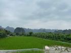 These are rice fields near my friend's school