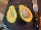 An avocado from my neighbors tree!
