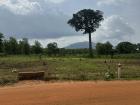 This land is farm land, while not cultivated right now they will start soon