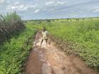 Coming back from the farm after a rainy day