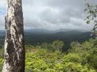 A view from a hike in Belize