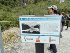 A sign talking about the Franz Joseph glacier on the West coast of the South Island with both English and Maori names