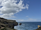 The beautiful sandstone cliffs on the coast of the South Island near Dunedin