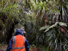 Day 1: Walking to the first outcrop through the New Zealand bush