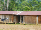Building in a Shuar community