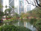 Hong Kong Park in Central is so beautiful, especially considering it is in the middle of the city