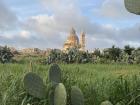 View of cactus plants and the Rotunda St. John Baptist Church in rural Gozo, Malta