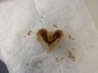 A traditional flower cookie from rural Spain that has been broken into a heart shape