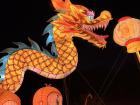 In Asia, the dragon is an important symbol. You see a lot of dragons during New Year celebration