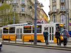 At tram stops, there is a designated waiting area where both locals and visitors can gather before boarding their preferred line.