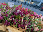 Tulips in London for Valentine's Day! A breath of fresh air & nature-related 