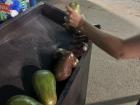 I was at a bus stop and saw this woman selling these huge avocados! I have never had an avocado this big