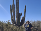 This is a very tall cardón (type of cactus) I saw near the beach. This one could be 100s of years old!