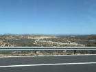 Away from the oasis, the environment is drier and doesn't have any trees