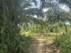 Environment