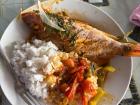 A lunch made of fresh caught local fish, fresh veggies and white rice