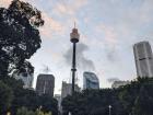 View of the Sydney Tower from Hyde Park