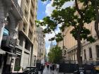 Asi se mira una calle tipica de Buenos Aires! Hay mucho verde.