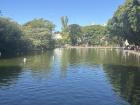 El estanque bello del Parque Centenario
