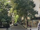 Buenos Aires es muy verde! Hay arboles en casi todas las calles