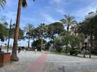 Palm trees at the coast