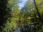 A beautiful park in the city