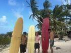 First time surfing!