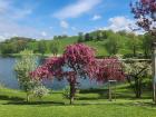 Here is a way for you to see the post card photo of the colorful trees better